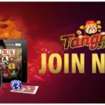 Experience Ultimate Online Gaming with Clubpk Casino